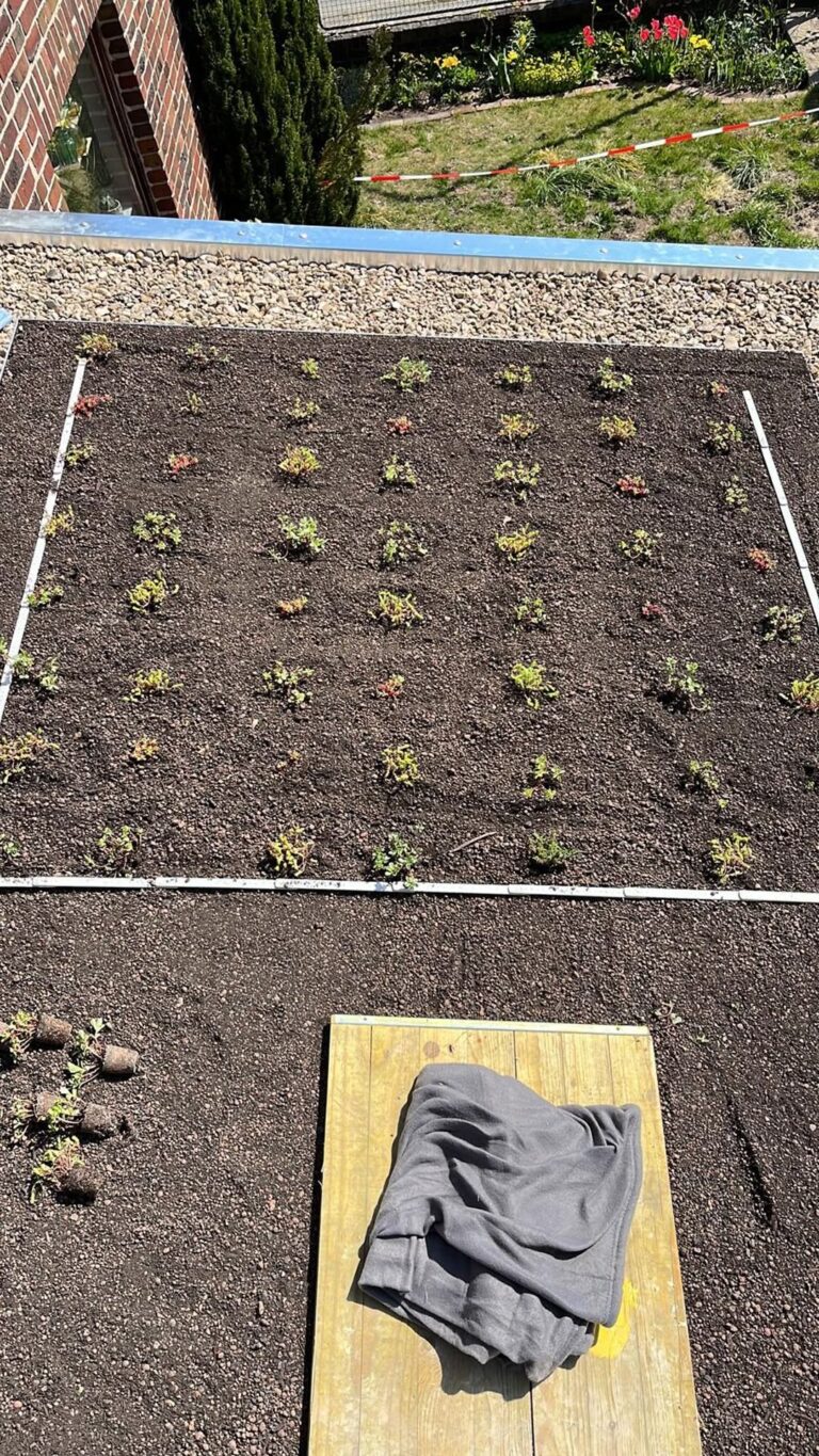 gallery grid image